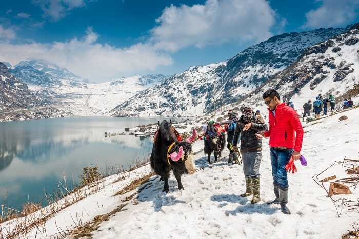 How Sikkim Family Tour Packages Offer the Perfect Mix of Relaxation and Fun