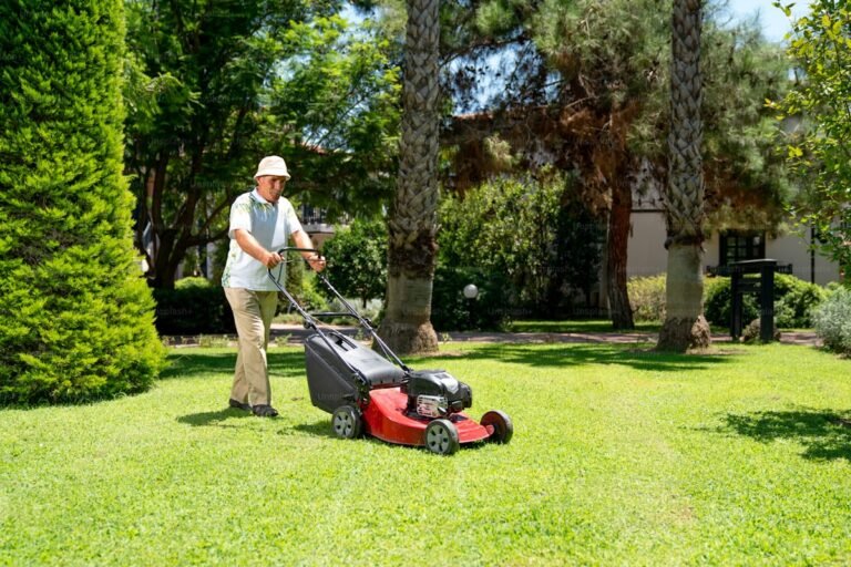 Beginner’s Guide to Lawn Care Supplies and Seasonal Maintenance