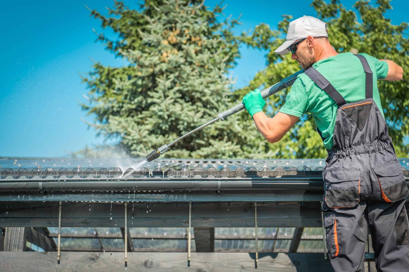 Roof Cleaning Services