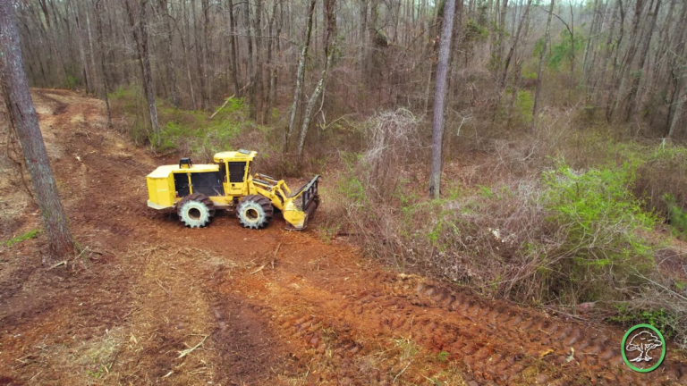Forestry Mulching: A Practical Approach to Land Clearing and Soil Preservation