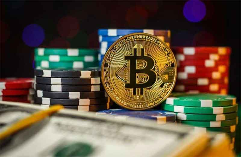 The Allure of Crypto Betting: Why New Zealanders Trust Crypto for Sports Betting