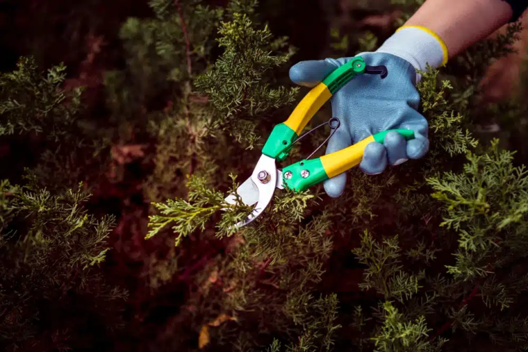 Forestry Mulching Explained: From Equipment Choices and Operational Strategies to Environmental and Economic Impacts