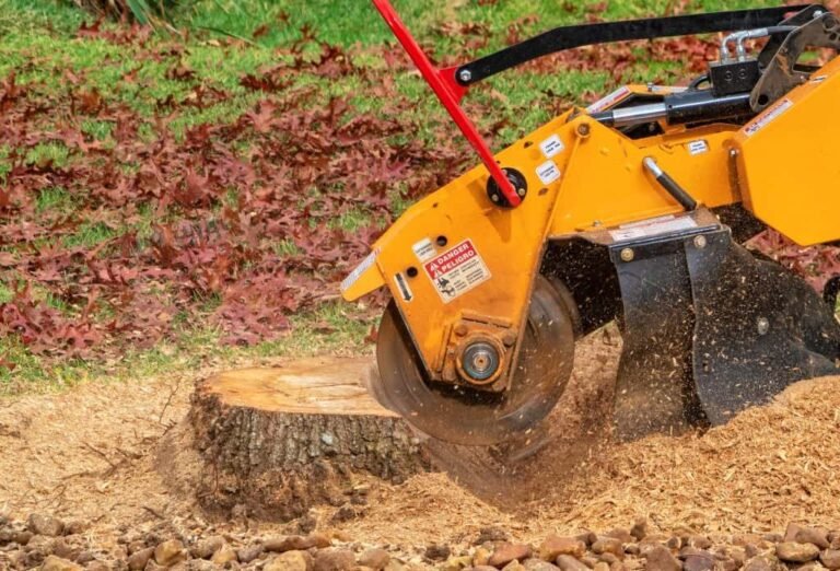 Why Stump Grinding Is the Best Decision You’ll Make for Your Yard